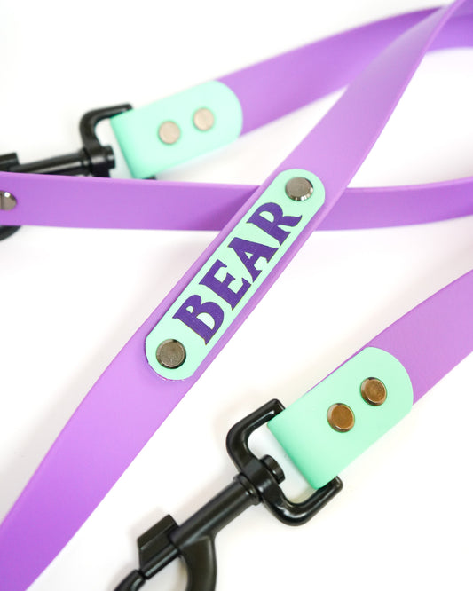 removable leads