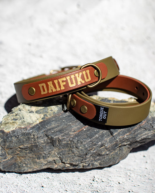 セール価格で1点限り!OLIVE×BROWN