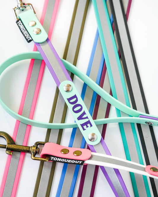 フィクストリード【リフレクティブ】