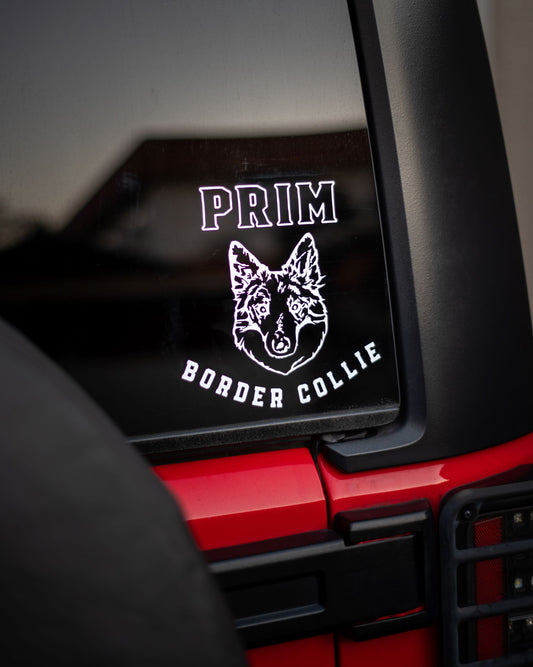 pet dog sticker