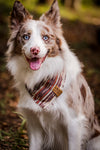BANDANA