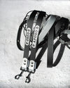 W lead (2 leads)