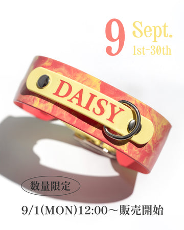 9月限定カラー【数量限定】
