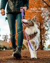 GRART LEASH【19/25㎜】フィクストリード