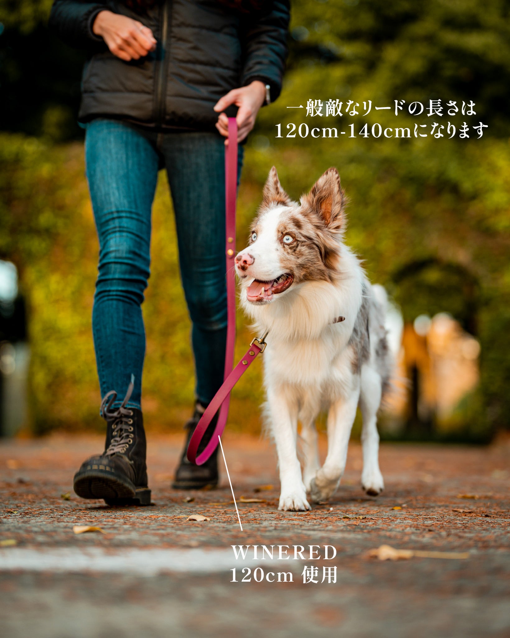 単色フィクストリード – The TONGUE OUT co.