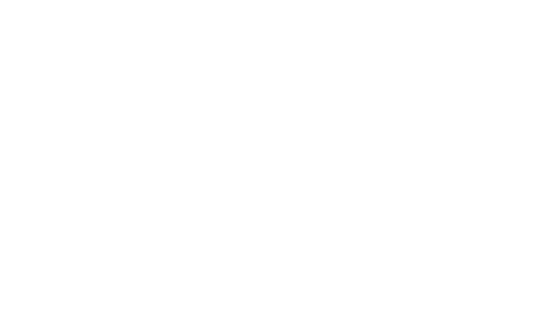  The TONGUE OUT co.