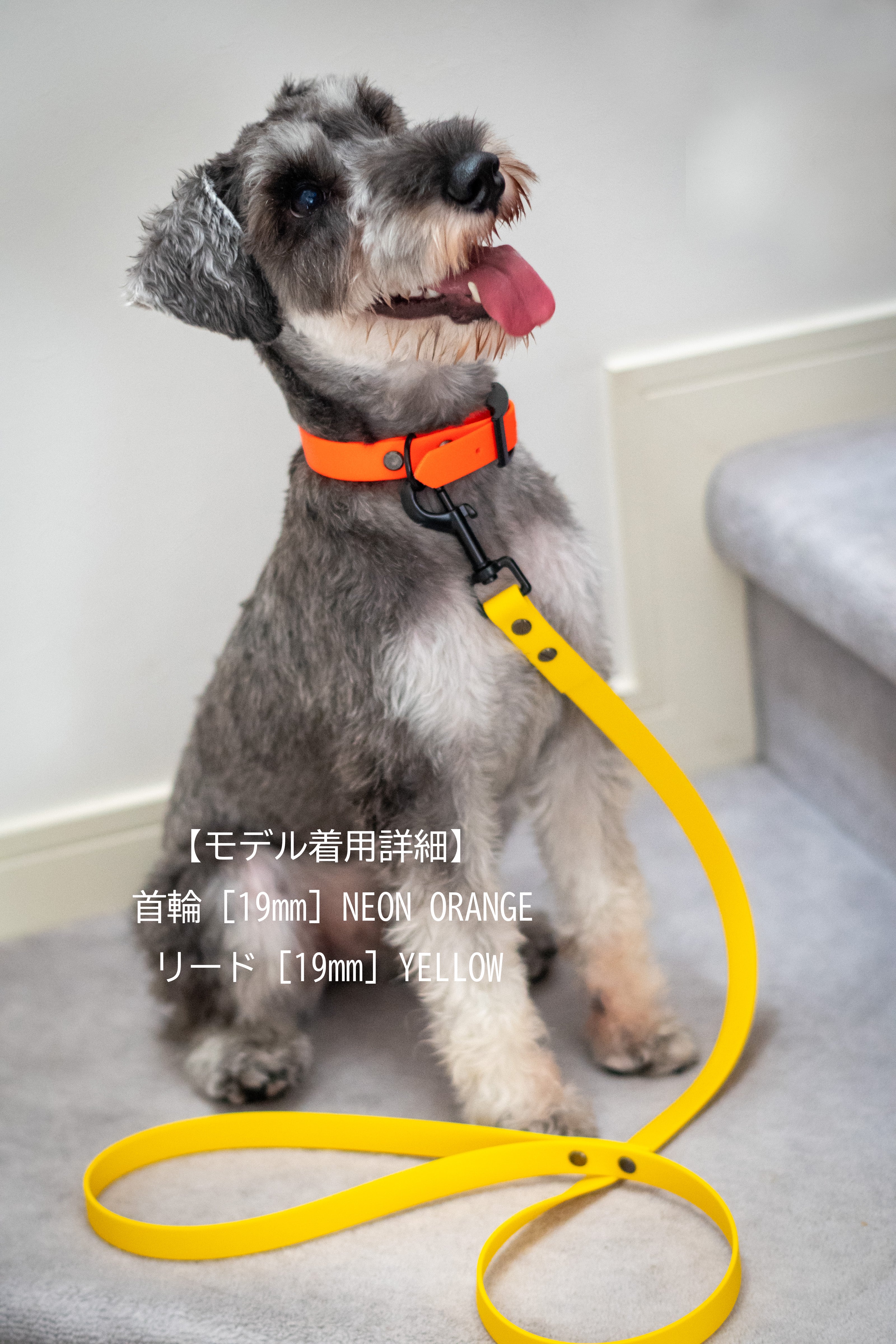 TONGUEOUT 防水リードLATTEネーム付き イエロー BioThane 単色フィクストリード – The TONGUE OUT co.